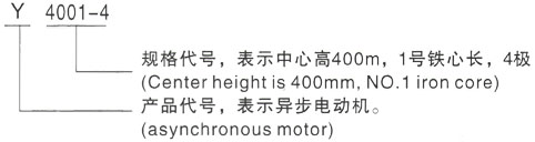西安泰富西玛Y系列(H355-1000)高压郑州三相异步电机型号说明